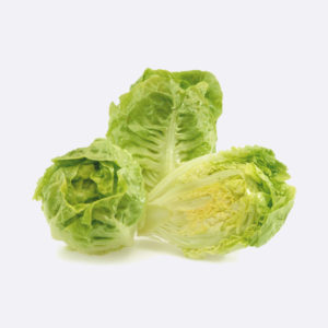lechuga mini romana